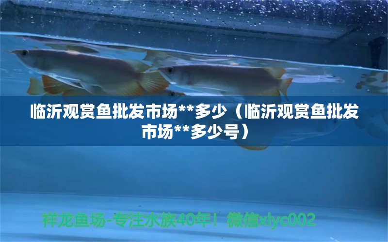 臨沂觀賞魚(yú)批發(fā)市場(chǎng)**多少（臨沂觀賞魚(yú)批發(fā)市場(chǎng)**多少號(hào)） 觀賞魚(yú)批發(fā)