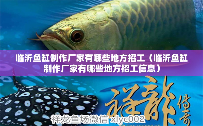 臨沂魚缸制作廠家有哪些地方招工（臨沂魚缸制作廠家有哪些地方招工信息）