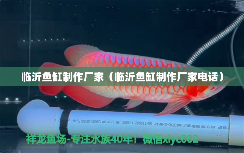 臨沂魚缸制作廠家（臨沂魚缸制作廠家電話） 廣州龍魚批發(fā)市場