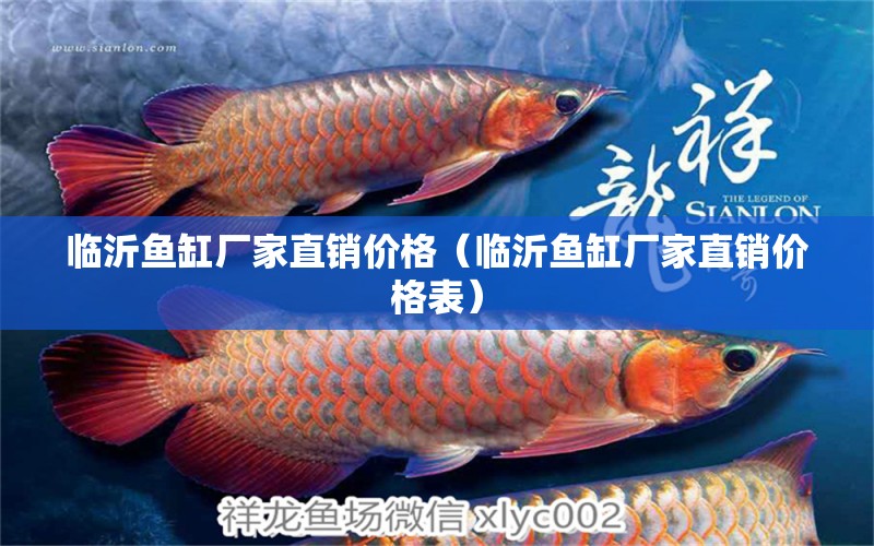 臨沂魚缸廠家直銷價格（臨沂魚缸廠家直銷價格表） 白子銀版魚