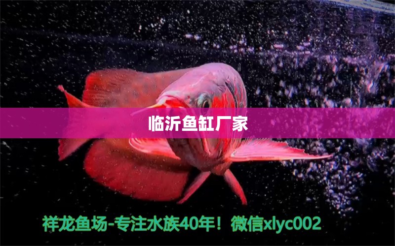 臨沂魚缸廠家