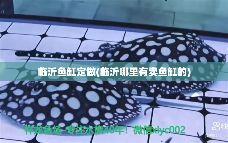 臨沂魚缸定做(臨沂哪里有賣魚缸的)