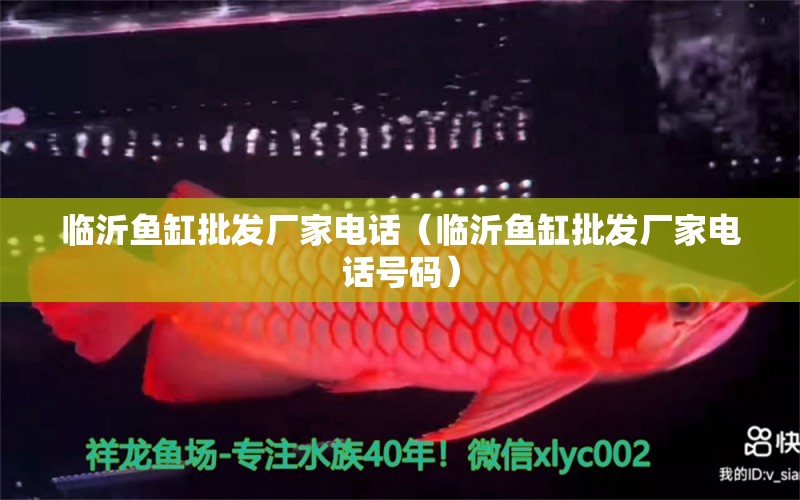 臨沂魚缸批發(fā)廠家電話（臨沂魚缸批發(fā)廠家電話號碼）