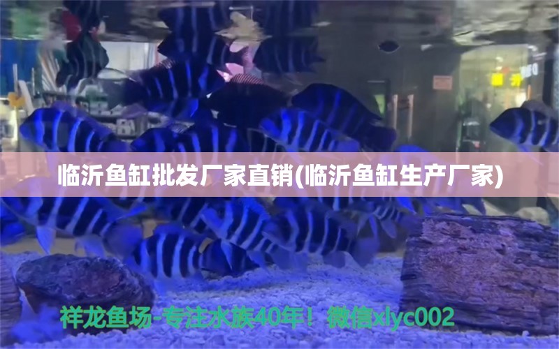 臨沂魚缸批發(fā)廠家直銷(臨沂魚缸生產(chǎn)廠家) 大日玉鯖魚