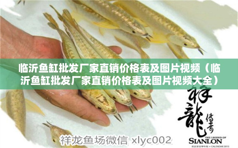 臨沂魚(yú)缸批發(fā)廠家直銷(xiāo)價(jià)格表及圖片視頻（臨沂魚(yú)缸批發(fā)廠家直銷(xiāo)價(jià)格表及圖片視頻大全）