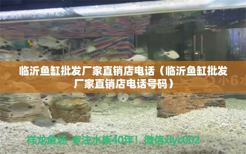 臨沂魚(yú)缸批發(fā)廠家直銷店電話（臨沂魚(yú)缸批發(fā)廠家直銷店電話號(hào)碼） 祥龍水族醫(yī)院