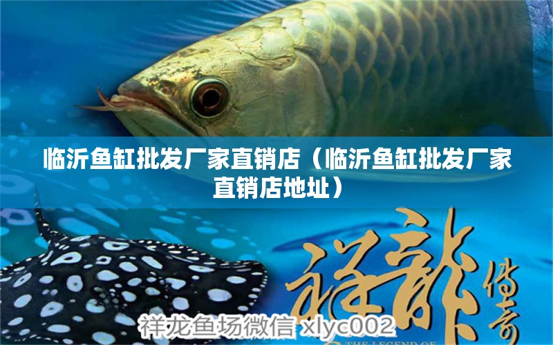 臨沂魚缸批發(fā)廠家直銷店（臨沂魚缸批發(fā)廠家直銷店地址）