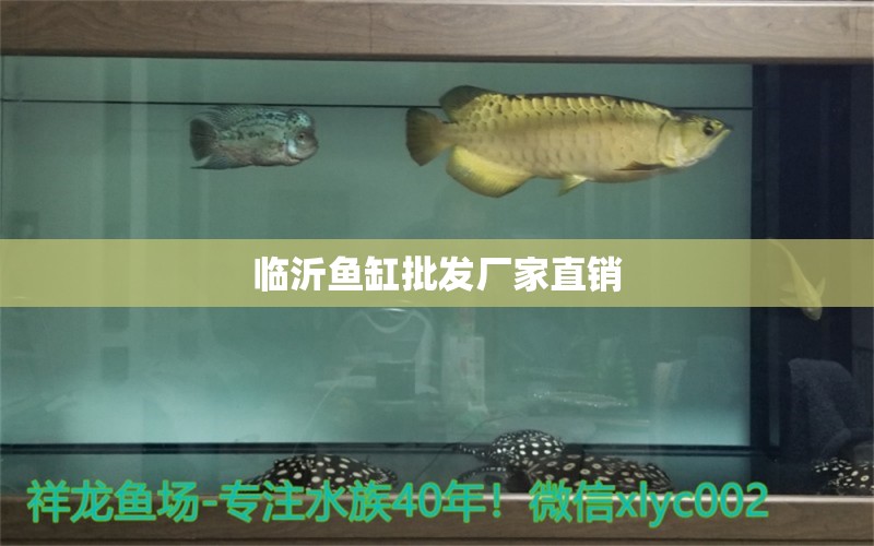 臨沂魚缸批發(fā)廠家直銷