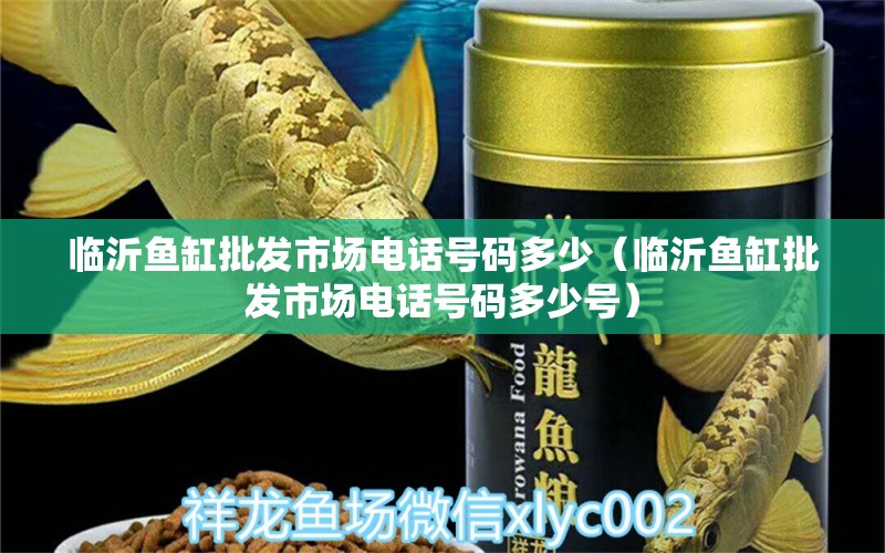 臨沂魚缸批發(fā)市場電話號碼多少（臨沂魚缸批發(fā)市場電話號碼多少號） 白化巴西龜（白巴）