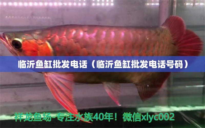 臨沂魚缸批發(fā)電話（臨沂魚缸批發(fā)電話號碼） 其他品牌魚缸