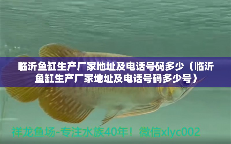 臨沂魚(yú)缸生產(chǎn)廠家地址及電話號(hào)碼多少（臨沂魚(yú)缸生產(chǎn)廠家地址及電話號(hào)碼多少號(hào)）