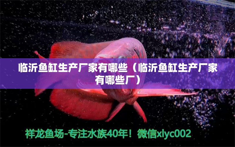 臨沂魚缸生產(chǎn)廠家有哪些（臨沂魚缸生產(chǎn)廠家有哪些廠） 其他品牌魚缸