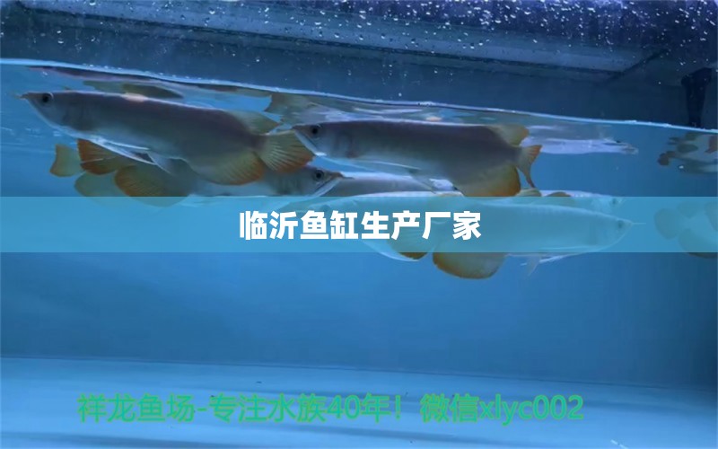 臨沂魚缸生產(chǎn)廠家 其他品牌魚缸