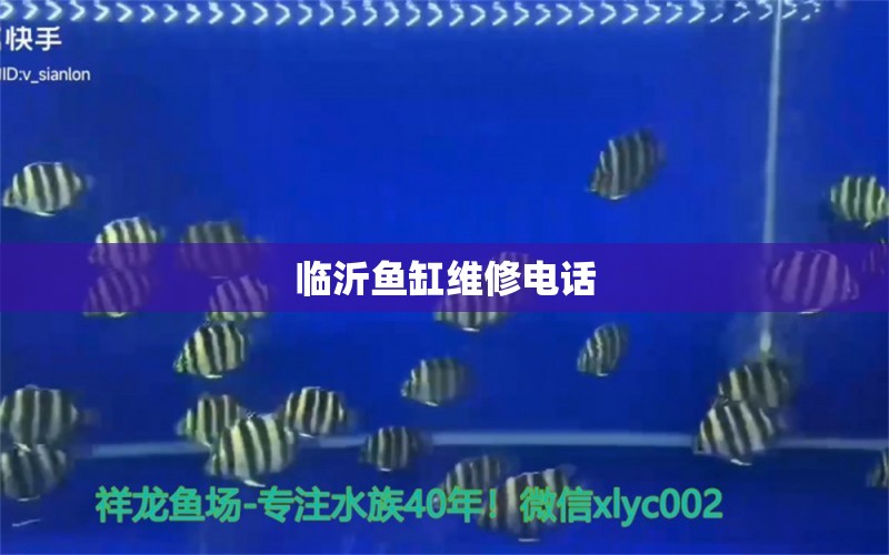 臨沂魚(yú)缸維修電話 其他品牌魚(yú)缸