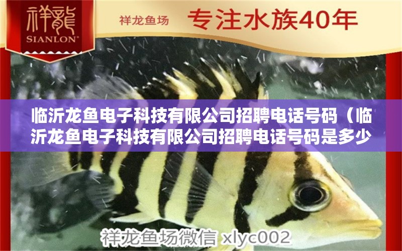 臨沂龍魚(yú)電子科技有限公司招聘電話(huà)號(hào)碼（臨沂龍魚(yú)電子科技有限公司招聘電話(huà)號(hào)碼是多少） 觀(guān)賞魚(yú)