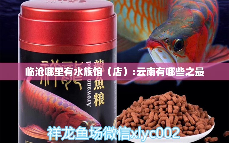 臨滄哪里有水族館（店）:云南有哪些之最 觀賞魚水族批發(fā)市場