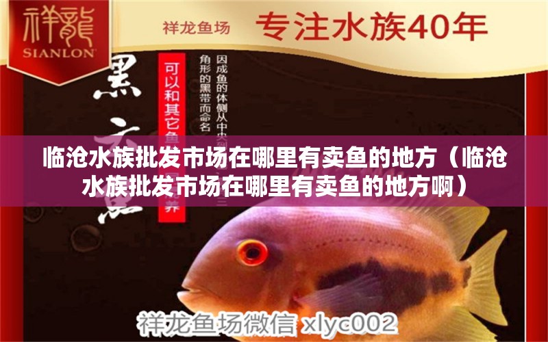 臨滄水族批發(fā)市場在哪里有賣魚的地方（臨滄水族批發(fā)市場在哪里有賣魚的地方?。? title=