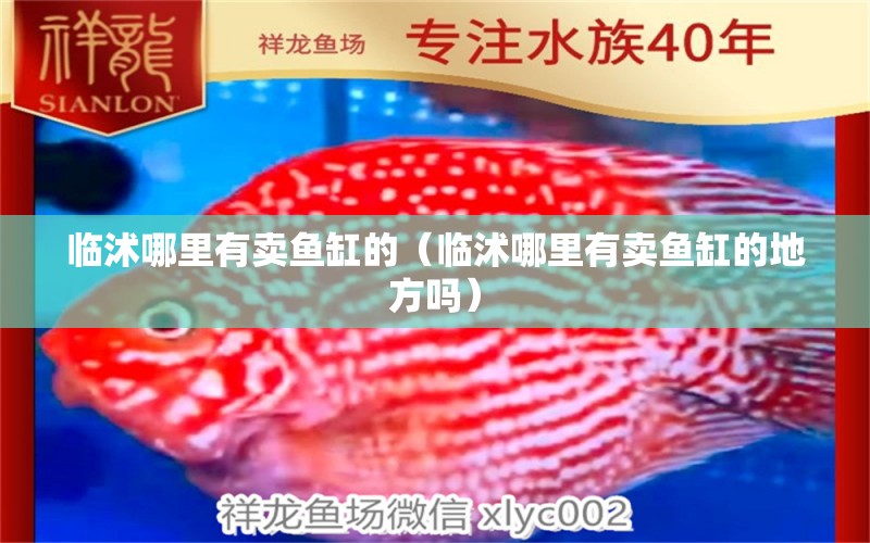 臨沭哪里有賣魚缸的（臨沭哪里有賣魚缸的地方嗎） 紅頭利魚