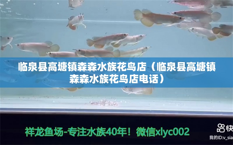 臨泉縣高塘鎮(zhèn)森森水族花鳥店（臨泉縣高塘鎮(zhèn)森森水族花鳥店電話） 全國水族館企業(yè)名錄