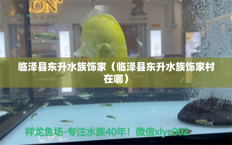 臨澤縣東升水族飾家（臨澤縣東升水族飾家村在哪） 全國水族館企業(yè)名錄