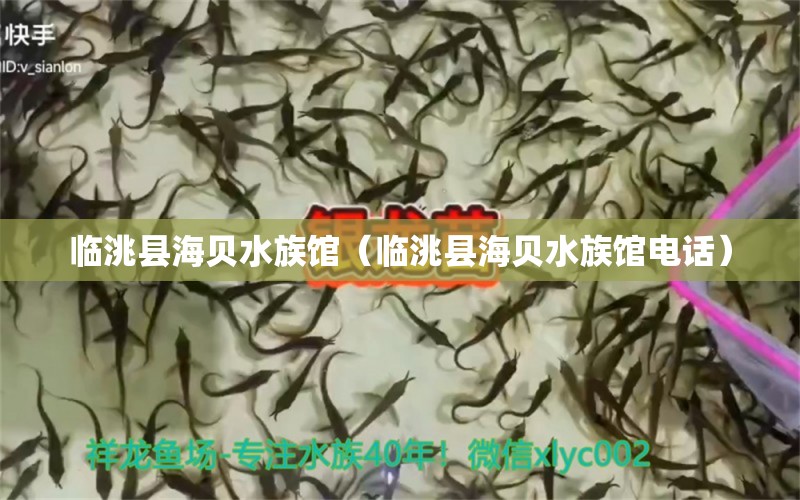 臨洮縣海貝水族館（臨洮縣海貝水族館電話） 全國(guó)水族館企業(yè)名錄