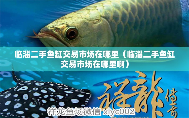 臨淄二手魚缸交易市場(chǎng)在哪里（臨淄二手魚缸交易市場(chǎng)在哪里?。? title=