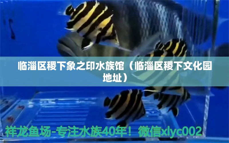 臨淄區(qū)稷下象之印水族館（臨淄區(qū)稷下文化園地址） 全國(guó)水族館企業(yè)名錄