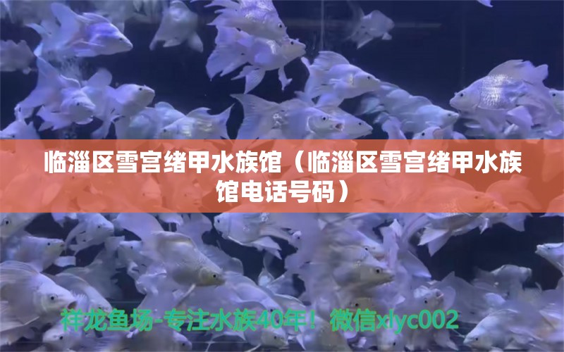 臨淄區(qū)雪宮緒甲水族館（臨淄區(qū)雪宮緒甲水族館電話號(hào)碼）