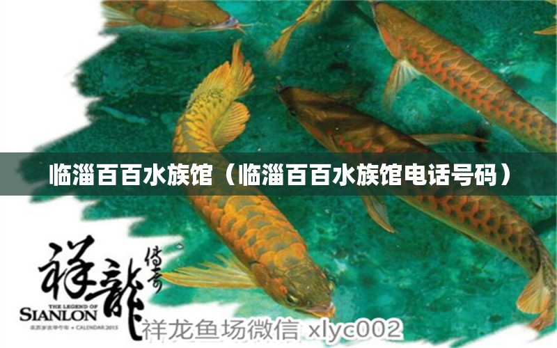 臨淄百百水族館（臨淄百百水族館電話號(hào)碼）