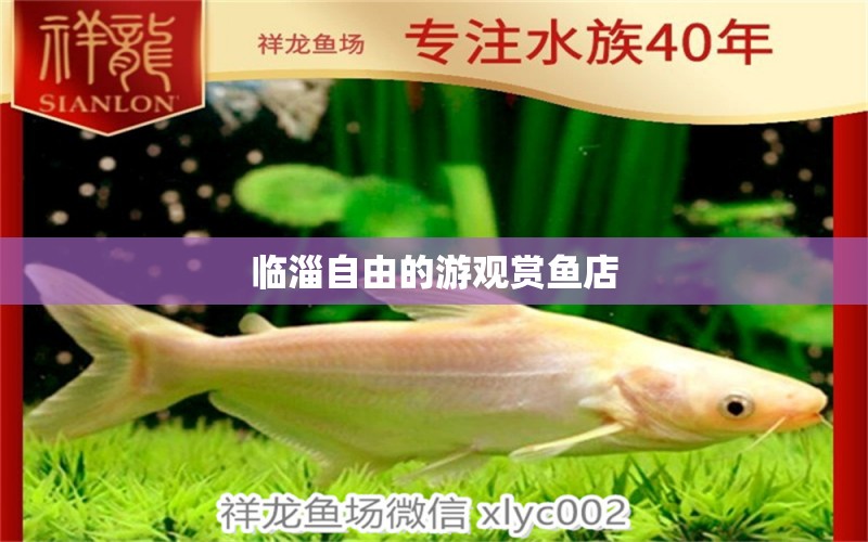 臨淄自由的游觀賞魚店 全國水族館企業(yè)名錄