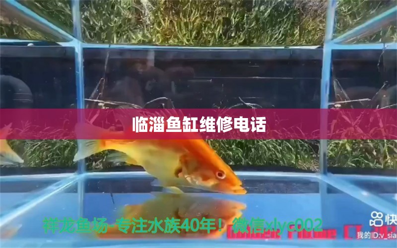 臨淄魚缸維修電話 其他品牌魚缸