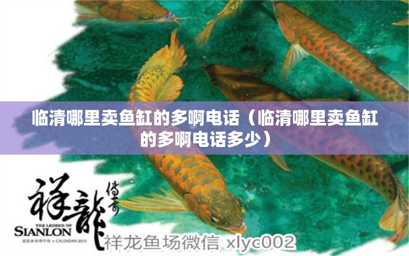 臨清哪里賣魚缸的多啊電話（臨清哪里賣魚缸的多啊電話多少）