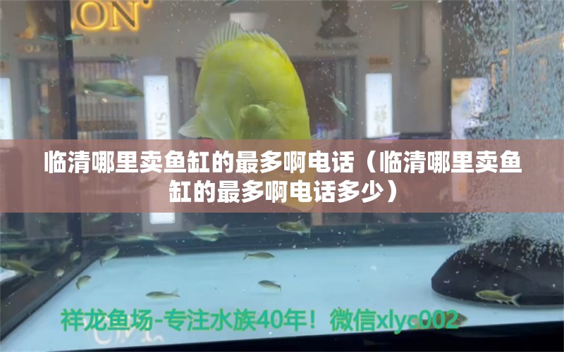 臨清哪里賣魚缸的最多啊電話（臨清哪里賣魚缸的最多啊電話多少）