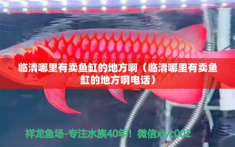 臨清哪里有賣魚缸的地方?。ㄅR清哪里有賣魚缸的地方啊電話）