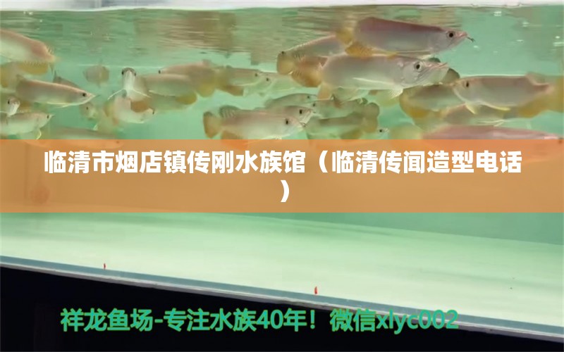 臨清市煙店鎮(zhèn)傳剛水族館（臨清傳聞造型電話） 全國水族館企業(yè)名錄