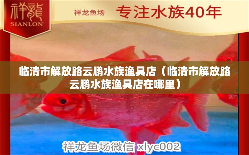 臨清市解放路云鵬水族漁具店（臨清市解放路云鵬水族漁具店在哪里）