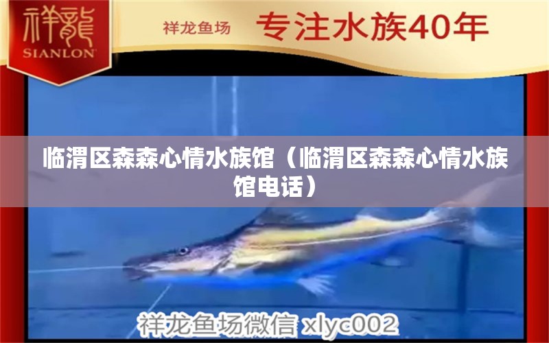 臨渭區(qū)森森心情水族館（臨渭區(qū)森森心情水族館電話）