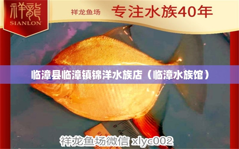 臨漳縣臨漳鎮(zhèn)錦洋水族店（臨漳水族館）