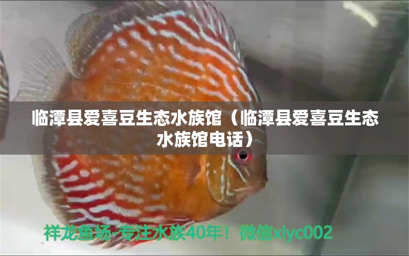 臨潭縣愛喜豆生態(tài)水族館（臨潭縣愛喜豆生態(tài)水族館電話）