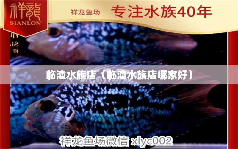 臨潼水族店（臨潼水族店哪家好） 觀賞魚市場