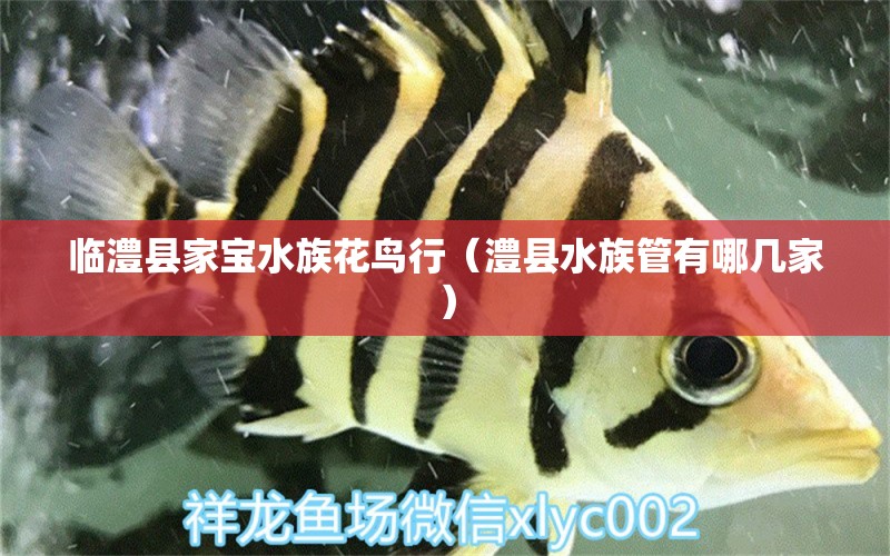 臨澧縣家寶水族花鳥行（澧縣水族管有哪幾家）