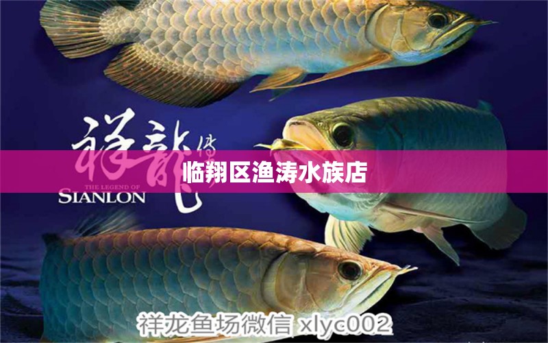 臨翔區(qū)漁濤水族店