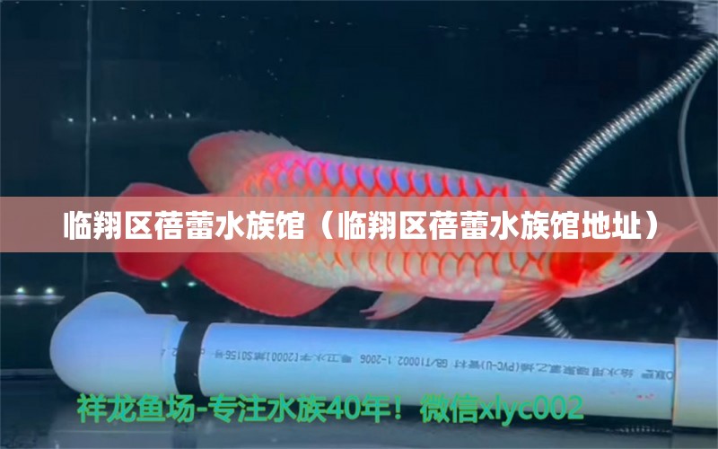 臨翔區(qū)蓓蕾水族館（臨翔區(qū)蓓蕾水族館地址）