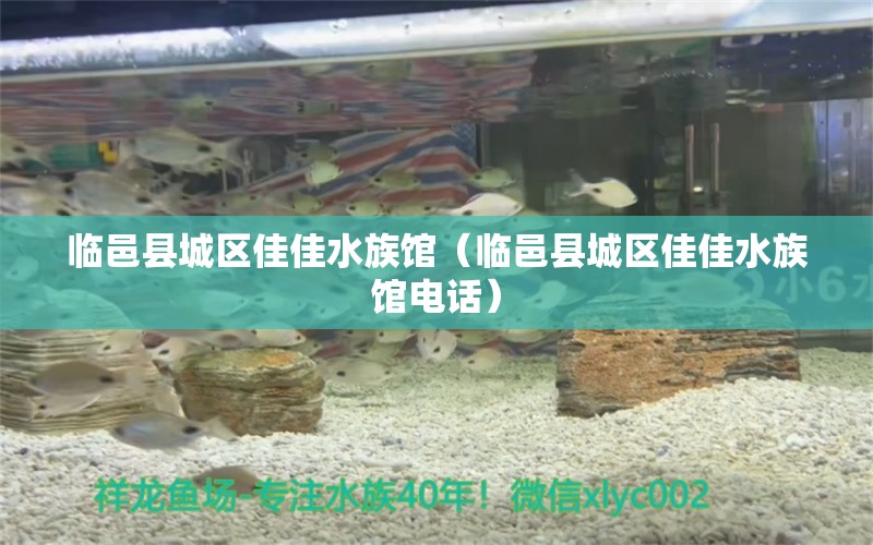 臨邑縣城區(qū)佳佳水族館（臨邑縣城區(qū)佳佳水族館電話） 全國水族館企業(yè)名錄