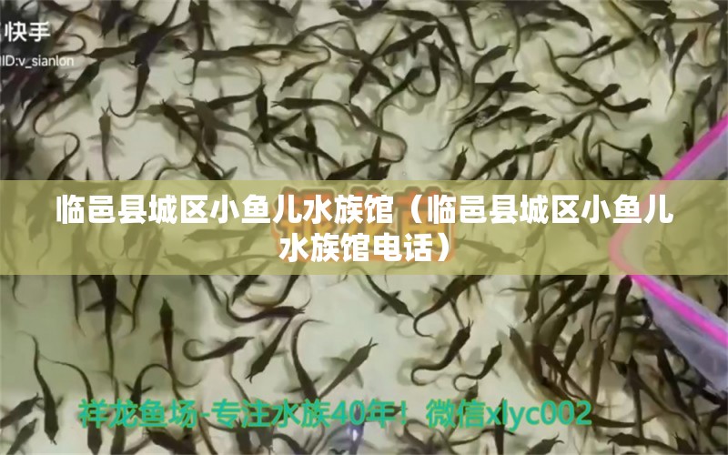 臨邑縣城區(qū)小魚兒水族館（臨邑縣城區(qū)小魚兒水族館電話） 全國水族館企業(yè)名錄