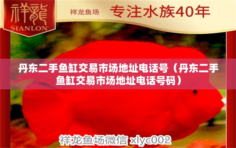 丹東二手魚缸交易市場地址電話號（丹東二手魚缸交易市場地址電話號碼） 祥龍藍(lán)珀金龍魚