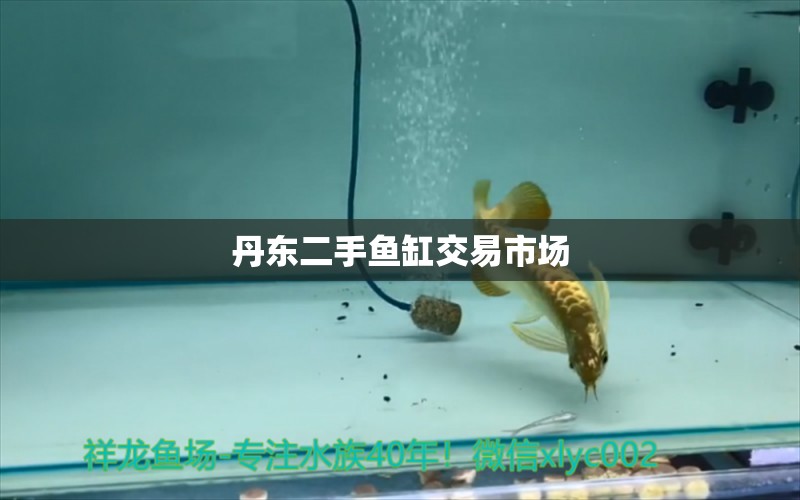 丹東二手魚缸交易市場