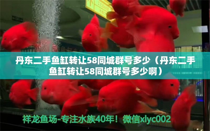 丹東二手魚缸轉(zhuǎn)讓58同城群號(hào)多少（丹東二手魚缸轉(zhuǎn)讓58同城群號(hào)多少?。?觀賞魚市場(chǎng)（混養(yǎng)魚）