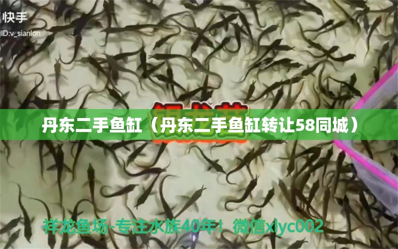 丹東二手魚(yú)缸（丹東二手魚(yú)缸轉(zhuǎn)讓58同城）