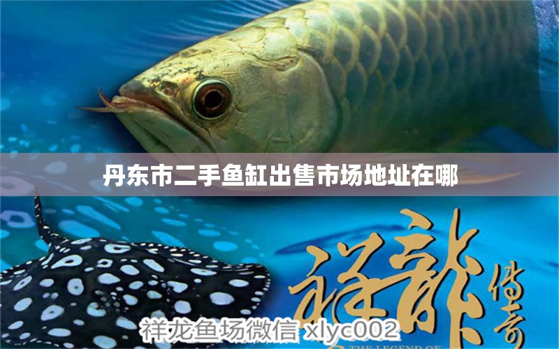 丹東市二手魚(yú)缸出售市場(chǎng)地址在哪 水族問(wèn)答 第1張